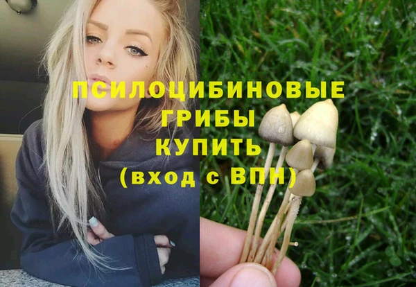 амфетамин Белокуриха